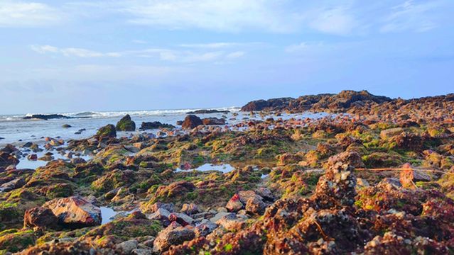 Butterfly Island Paradise Beach