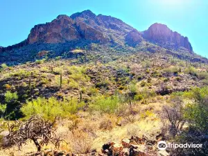Tucson Mountain Park