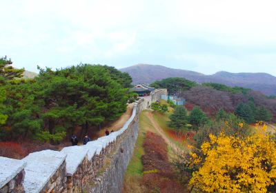 忠清北道