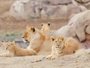 Denver Zoo