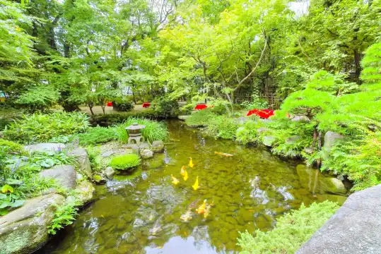 Hotel in zona Rakusuien