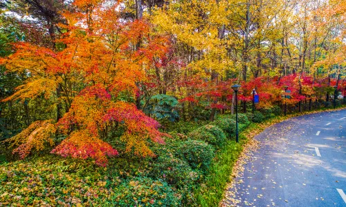 Hunan Forest Botanical Garden