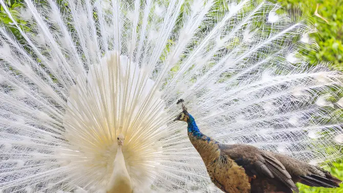 1_昆明動物園