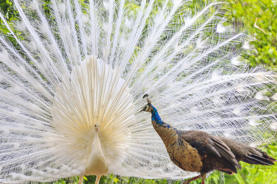 Kunming Zoo