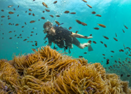 Vietnam Active Phu Quoc - PADI 5 Star Diving Center