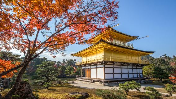 大阪+京都+金閣寺+清水寺+伏見稻荷大社【京都和風古韻一日遊