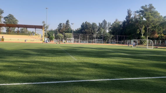 Deportivo Miguel Alemán