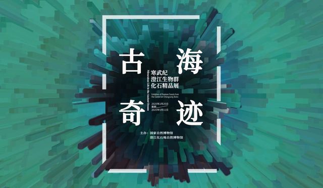 《古海奇蹟》寒武紀澄江生物羣化石精品展 | 國家自然博物館
