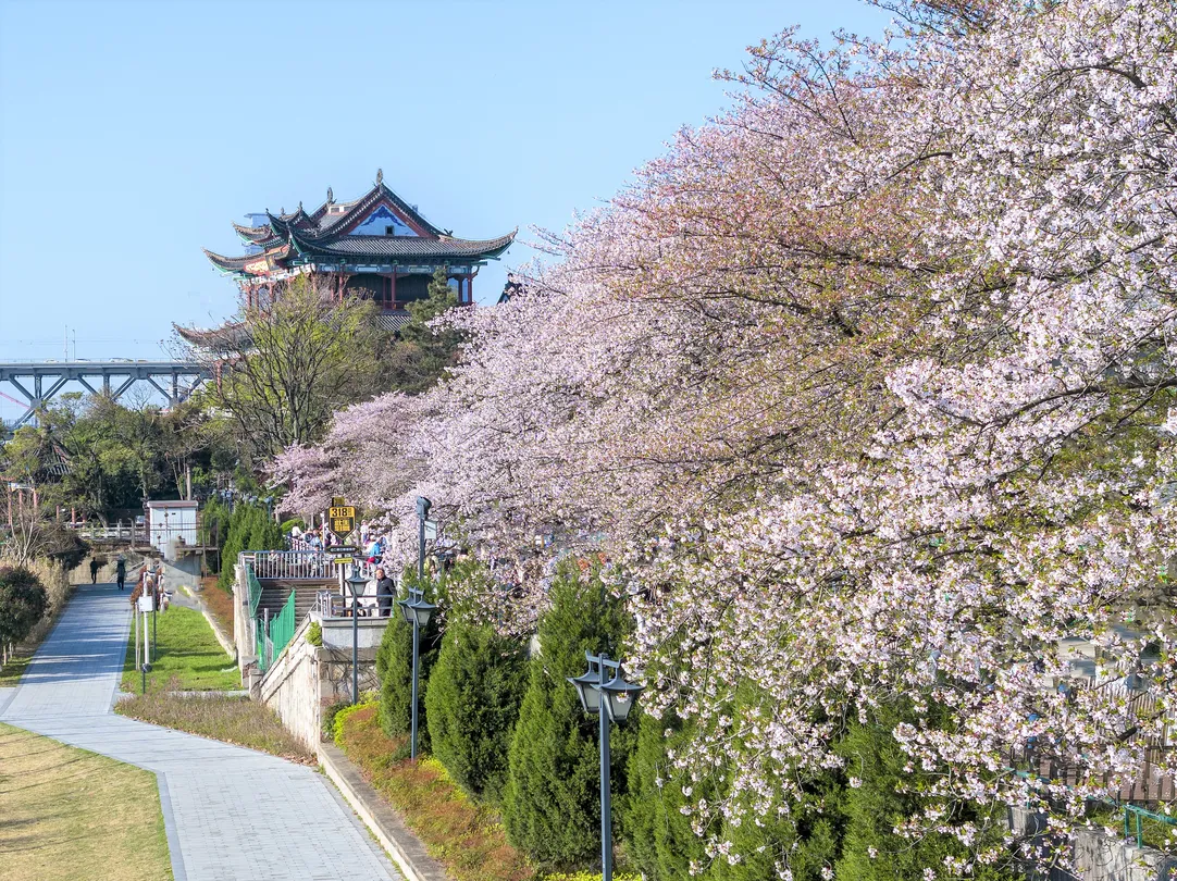 2_Qingchuan Pavilion Park