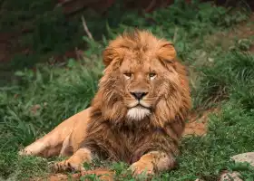 溫州動物園