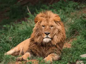 溫州動物園
