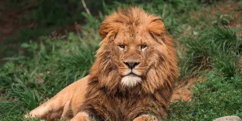 溫州動物園