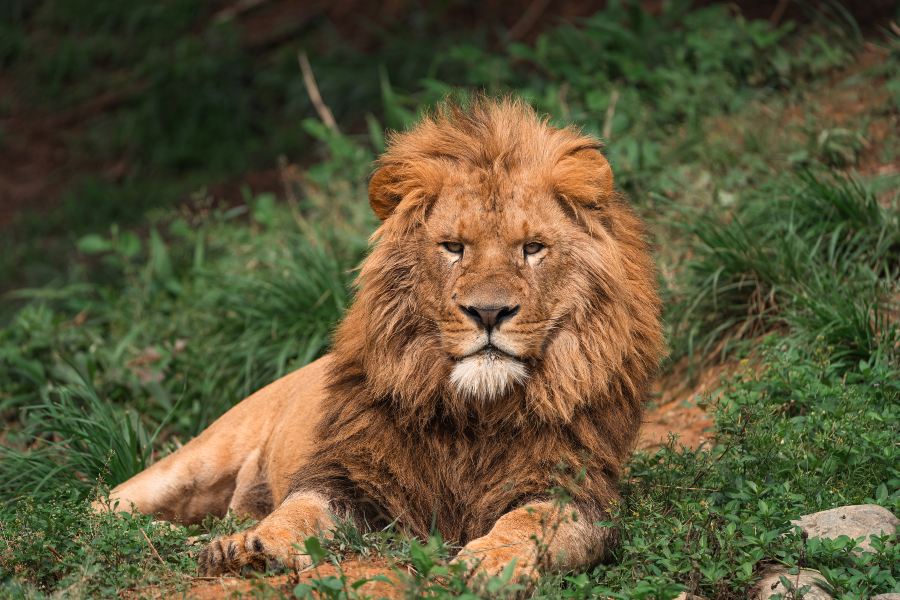 温州動物園