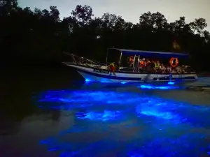 Top 10 Night Attractions in Selangor