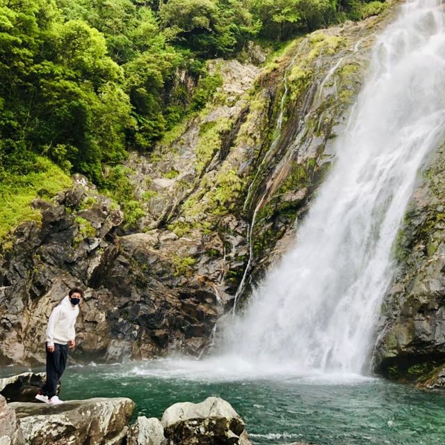 【屋久島】大川の滝