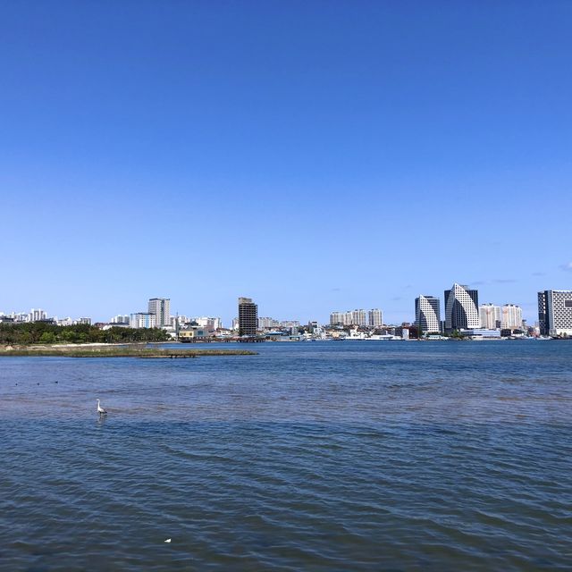 [속초] 속초 해수욕장과 청초호