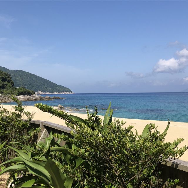 屋久島〜いなか浜