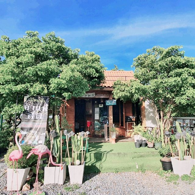 คาเฟ่บรรยากาศ​ร่มรื่น