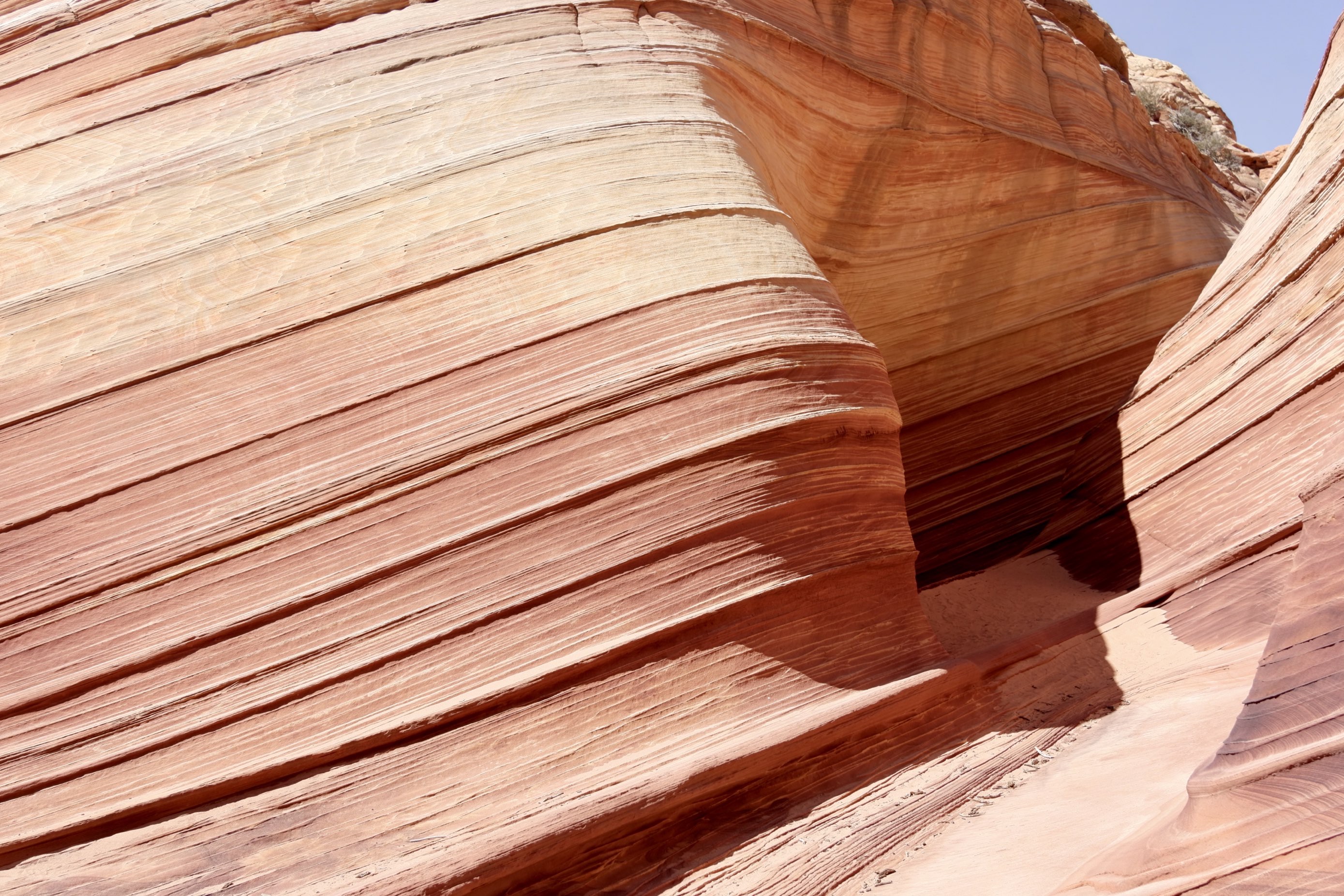 ザ ウェイブのレビュー ザ ウェイブのチケット ザ ウェイブの割引 ザ ウェイブの交通機関 所在地 営業時間 ザ ウェイブ周辺の観光スポット ホテル グルメ Trip Com ザ ウェイブのレビュー ザ ウェイブのチケット ザ ウェイブの割引 ザ ウェイブの交通機関 所在地 営業時間 ザ ウェイブ周辺の観光スポット ホテル グルメ Trip Com