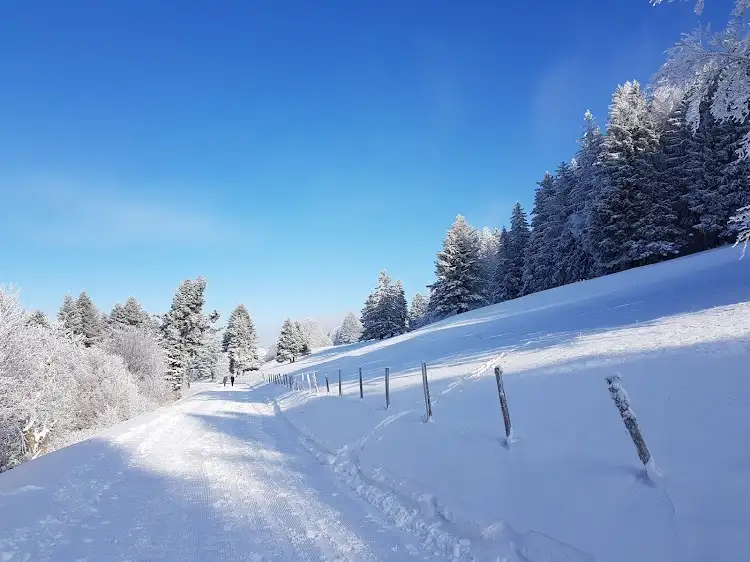 Domaine skiable du Salève