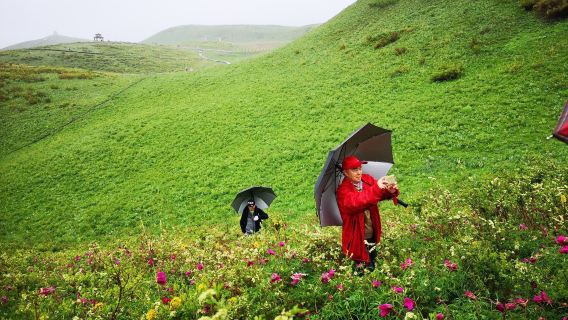 Yumin County Peony Valley
