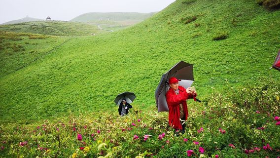 Yumin County Peony Valley