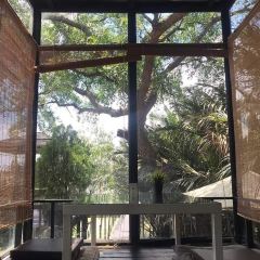 The Tree House User Photo