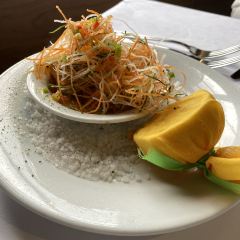 Hippopotamus User Photo