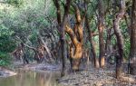 Tonle Sap Lake