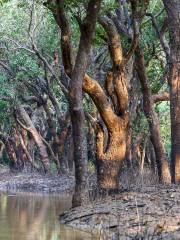 Tonle Sap