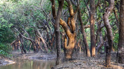 Tonle Sap Lake