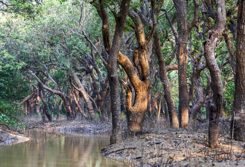 Tonle Sap Lake