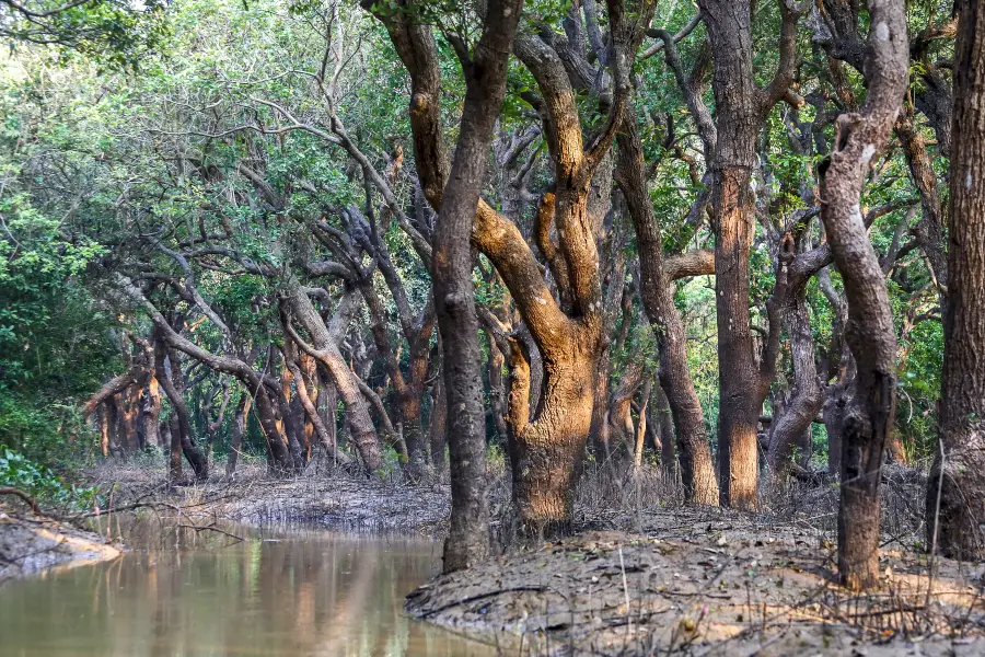 Tonle Sap