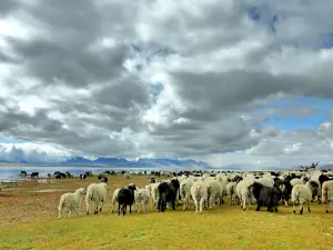 4 stars: 5-Day Inner Mongolia Tour of Xilamuren Grassland and Kubuqi Desert Tour from Hohhot