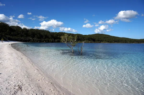 Vé máy bay Mackay TP. Hồ Chí Minh