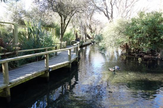 Willowbank Wildlife Reserve