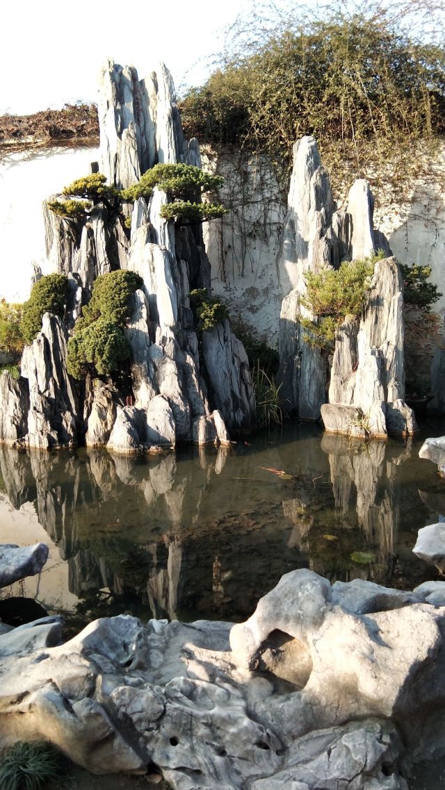 reviews about lingering garden