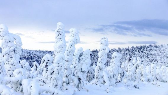 Elmendorf State Fish Hatchery