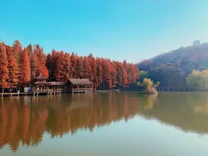 마안산의 인기 가을 경치