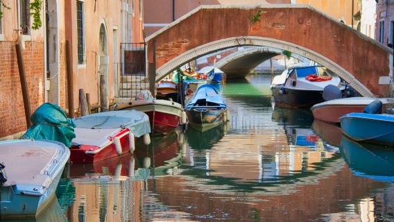 Bridge of Sighs + Piazza San Marco + Basilica San Marco + Doge's Palace + Rialto Bridge