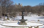 Bethesda Fountain