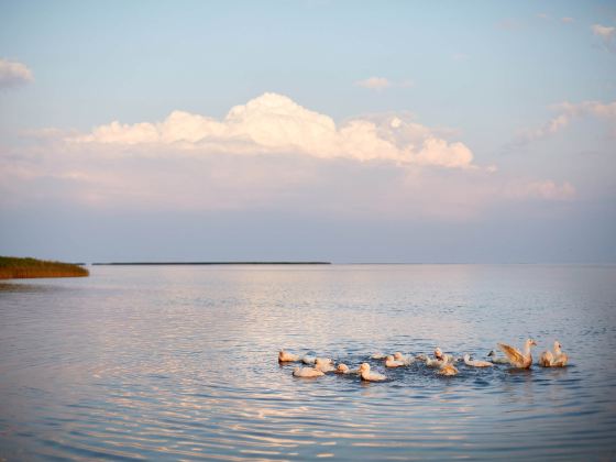 Lake Nakuru