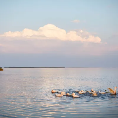 С видом на море Отели в г. Уотаму