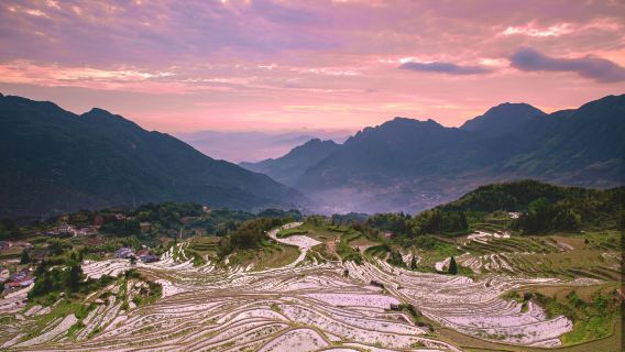 Sightseeing til terrassemarkerne i Lishui