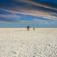 Rann of Kutch-Gujarat, India