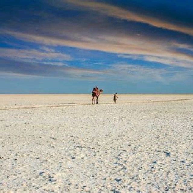 Rann of Kutch-Gujarat, India