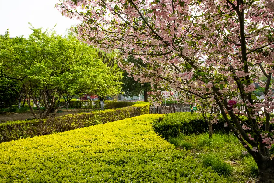 Nanguan Park