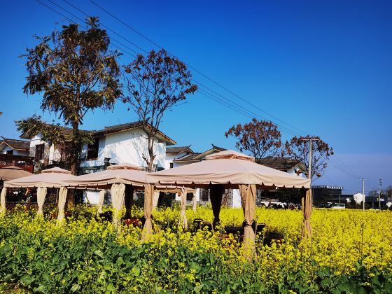 南岸美村