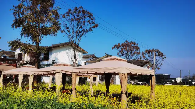 鄰近南岸美村的酒店