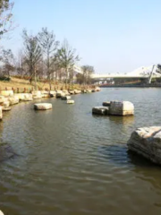 Changzhou Dijing Botanical Garden
